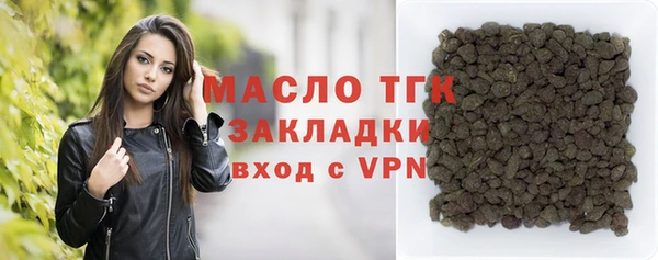 индика Бородино