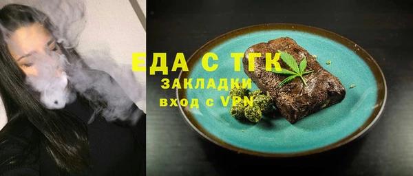 индика Бородино