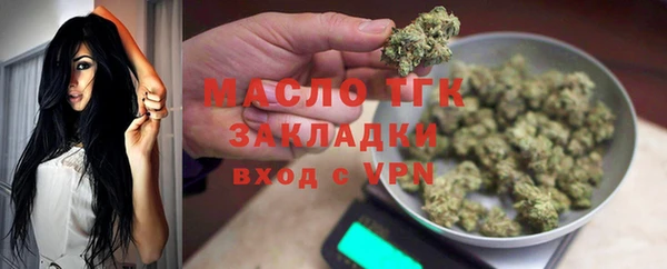 индика Бородино