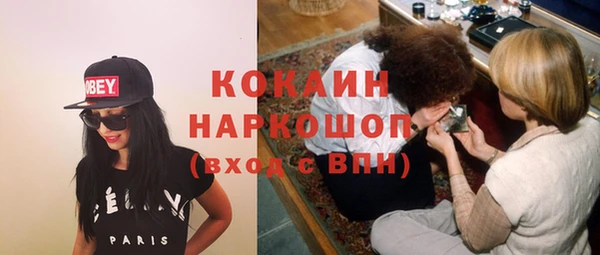 индика Бородино