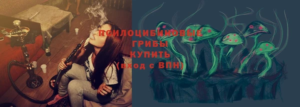 индика Бородино