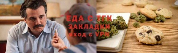 индика Бородино