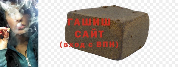 индика Бородино