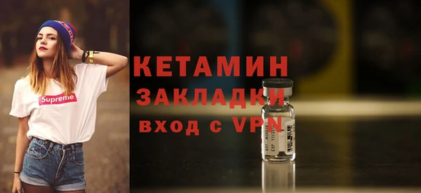индика Бородино