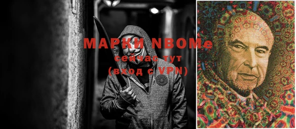 индика Бородино