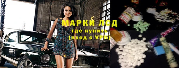 индика Бородино
