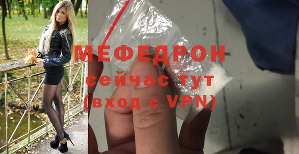 индика Бородино