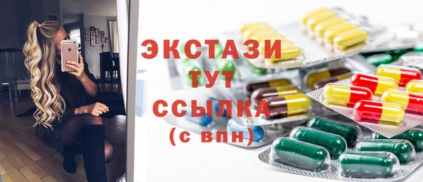 индика Бородино