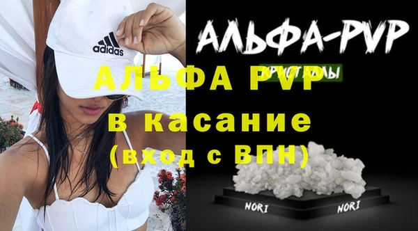 индика Бородино