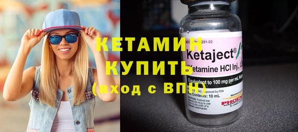 индика Бородино