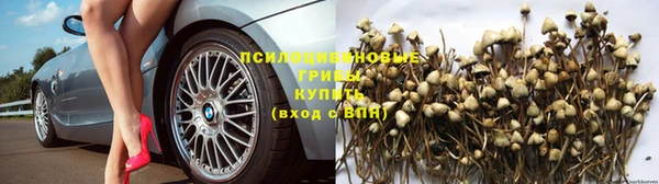 дмт Бронницы