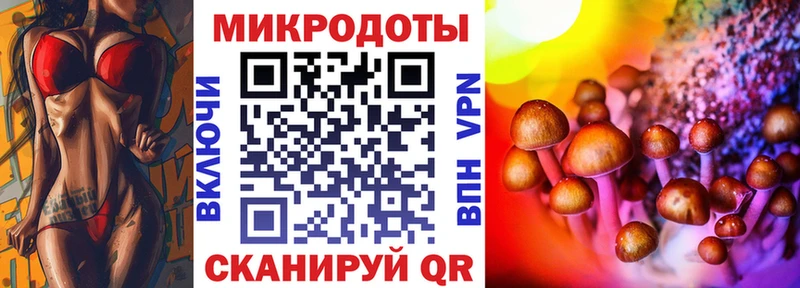 где продают   Кондрово  ОМГ ОМГ рабочий сайт  Псилоцибиновые грибы Psilocybe 
